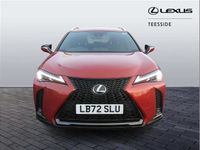 Used Lexus UX 250h Sport Design Packet 180 HP (132 kW) 2022 Orange SUV