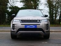 Used Land Rover Range Rover evoque R-Dynamic 309 HP (227 kW) 2023 Bronze SUV