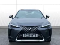 Usado Lexus UX 150 kW (204 CV) 2025 SUV