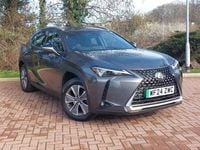Used Lexus UX 150 kW (204 HP) 2024 Grey SUV