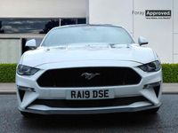 Used Ford Mustang GT 2019 Oxford white Coupe
