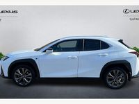 Used Lexus UX 250h Sport Design Packet 184 HP (135 kW) 2024 SUV