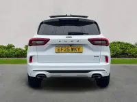 Usado Ford Kuga ST-Line X 243 HP (178 kW) 2025 Branco SUV