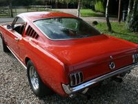 used Ford Mustang fastback