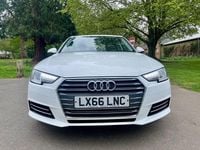 Used Audi A4 Sport 150 HP (110 kW) 2016 White Sedan