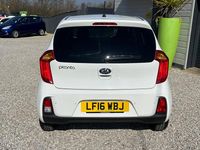 Used Kia Picanto 65 HP (47 kW) 2016 White Hatchback