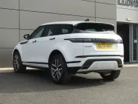 Used Land Rover Range Rover evoque SE Dynamic 2024 White SUV