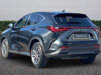 Used Lexus NX350h 2023 Black Estate
