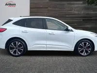 Used Ford Kuga ST-Line X 190 HP (139 kW) 2022 White SUV