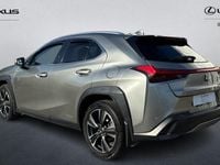 Used Lexus UX 250h 184 HP (135 kW) 2024 SUV