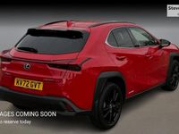 Used Lexus UX 250h 184 HP (135 kW) 2024 SUV