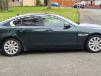 Usado Jaguar XE SE 2015 Verde Sedan