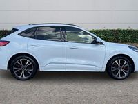 Used Ford Kuga ST-Line X 2023 White SUV