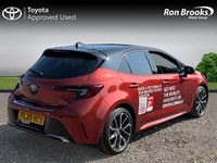 Used Toyota Corolla 2025 Bronze Hatchback