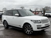 Used Land Rover Range Rover Vogue 2014 White SUV