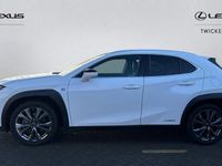 Used Lexus UX 250h Sport Line 184 HP (135 kW) 2022 SUV