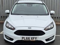 Used Ford Focus Titanium 120 HP (88 kW) 2017 White Hatchback