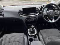 Used Kia Ceed 158 HP (116 kW) 2024 Red Hatchback