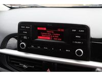 Used Kia Picanto 67 HP (49 kW) 2023 White Hatchback