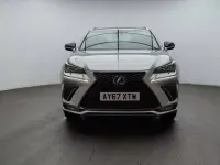 Used Lexus NX300h Sport Line 194 HP (142 kW) 2018 Silver SUV