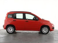 Usado Fiat Panda Easy 2017 Vermelho Citadino
