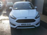 Used Ford Focus ST-Line 125 HP (91 kW) 2016 White Hatchback
