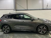 Used Ford Kuga ST-Line X 150 HP (110 kW) 2023 Grey SUV