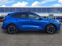 Used Ford Kuga ST-Line X 2024 Blue SUV