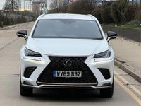 Used Lexus NX300h Sport Line 197 HP (144 kW) 2019 White SUV