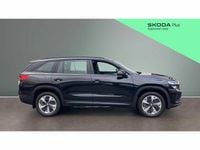 Used Skoda Kodiaq SE 150 HP (110 kW) 2025 Black SUV