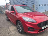 Used Ford Kuga ST-Line 225 HP (165 kW) 2023 Red SUV