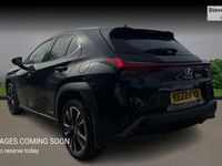 Used Lexus UX 250h 184 HP (135 kW) 2024 SUV