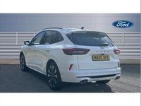 Used Ford Kuga ST-Line 150 HP (110 kW) 2024 Other SUV
