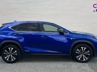 Used Lexus NX300h Sport Line 197 HP (144 kW) 2019 Blue SUV