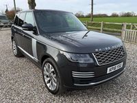 Used Land Rover Range Rover Autobiography 339 HP (249 kW) 2020 SUV