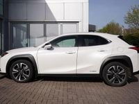 Used Lexus UX 250h 180 HP (132 kW) 2019 White SUV