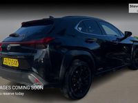 Used Lexus UX 250h 184 HP (135 kW) 2024 SUV