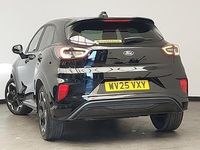 Used Ford Puma ST-Line X 155 HP (114 kW) 2025 Black SUV
