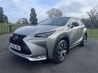 Used Lexus NX300h Sport Line 2016 Silver SUV