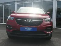 Used Vauxhall Grandland X S 130 HP (95 kW) 2019 Red SUV