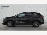 Used Lexus NX450h+ 306 HP (225 kW) 2025 Black SUV
