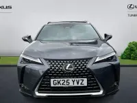 Used Lexus UX 300h 199 HP (146 kW) 2026 SUV