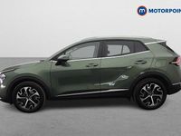 Used Kia Sportage 180 HP (132 kW) 2024 Green SUV