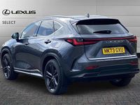 Used Lexus NX450h+ 306 HP (225 kW) 2023 Grey SUV