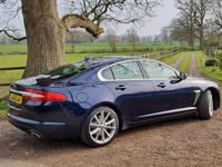 Used Jaguar XF Portfolio 200 HP (147 kW) 2015 Blue Sedan