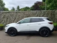 Used Vauxhall Grandland X Elite 130 HP (95 kW) 2019 White SUV
