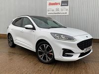 Used Ford Kuga ST-Line X 2023 White SUV