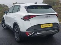 New Kia Sportage 157 HP (115 kW) 2025 White SUV