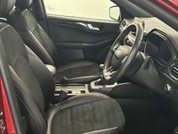 Used Ford Kuga ST-Line X 150 HP (110 kW) 2020 Red SUV