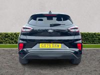 Used Ford Puma ST-Line X 125 HP (91 kW) 2025 Agate black SUV